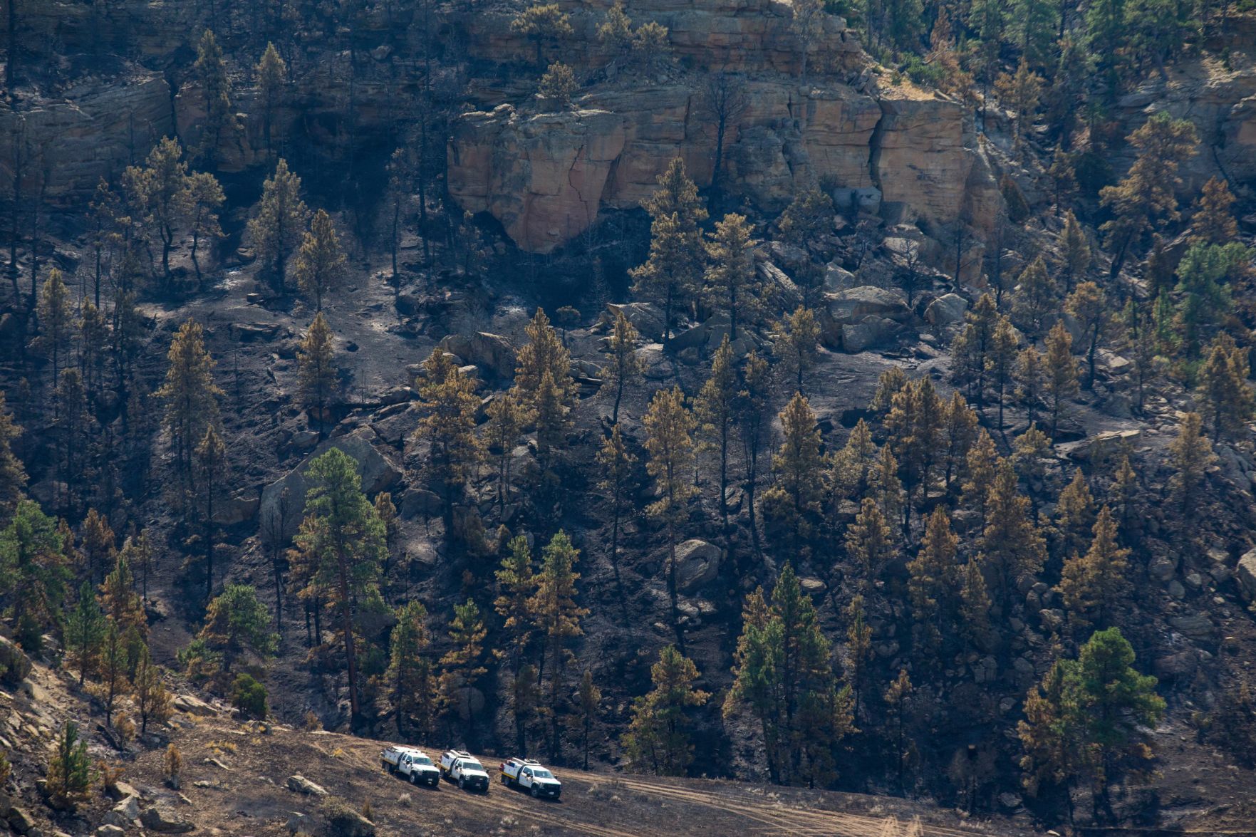 Mountain View fire